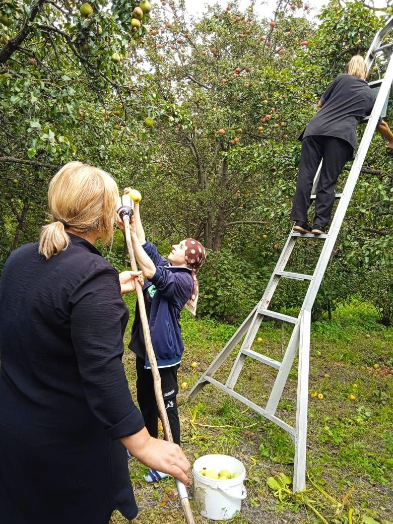 Социальная неотложка